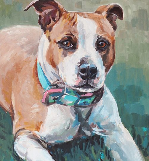 malovany portret - pes